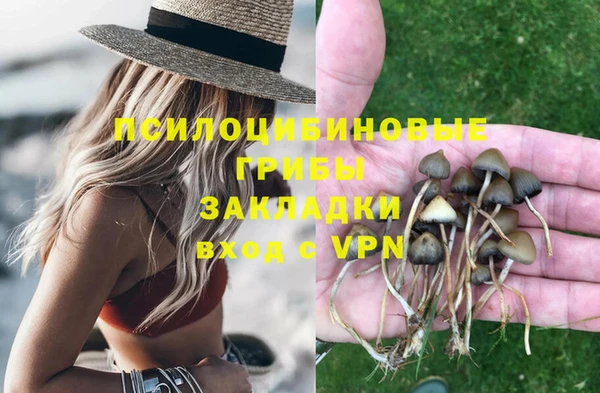 прущие грибы Фурманов