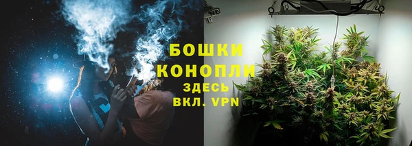 стафф Карпинск